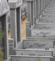 蚌埠祖坟墓地出现这种现象，大事不妙，千万要注意了！