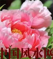 蚌埠预示你财运上升，姻缘可成的梦境，快来看看吧！